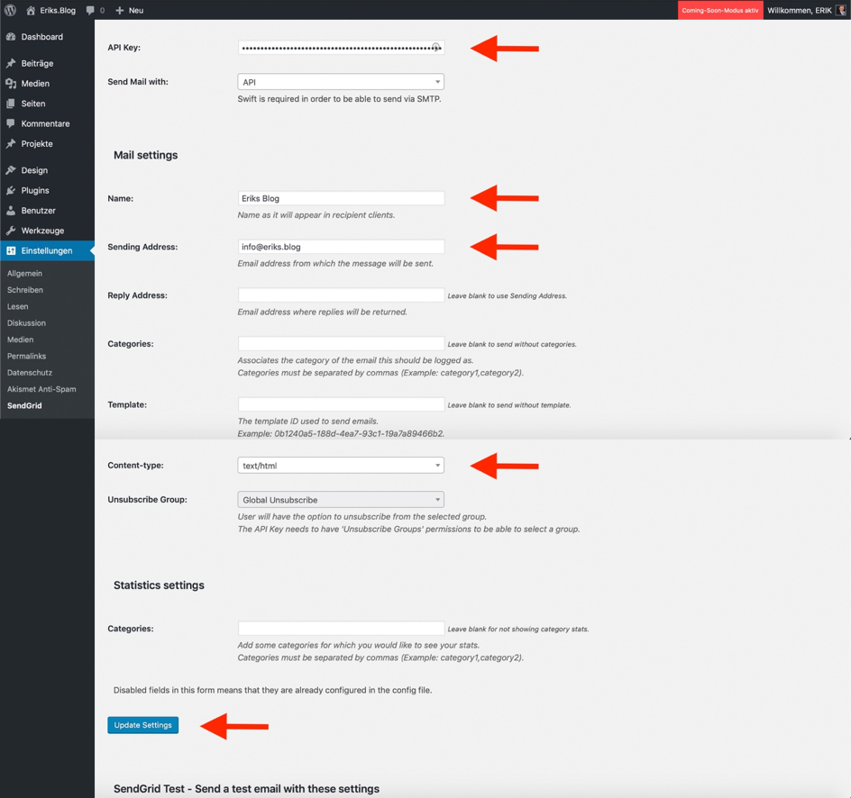 API Key ins Plugin kopieren