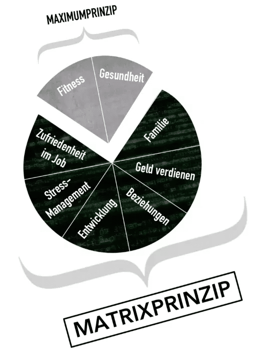 Coach Cecil Matrixprinzip Erfahrungen 3