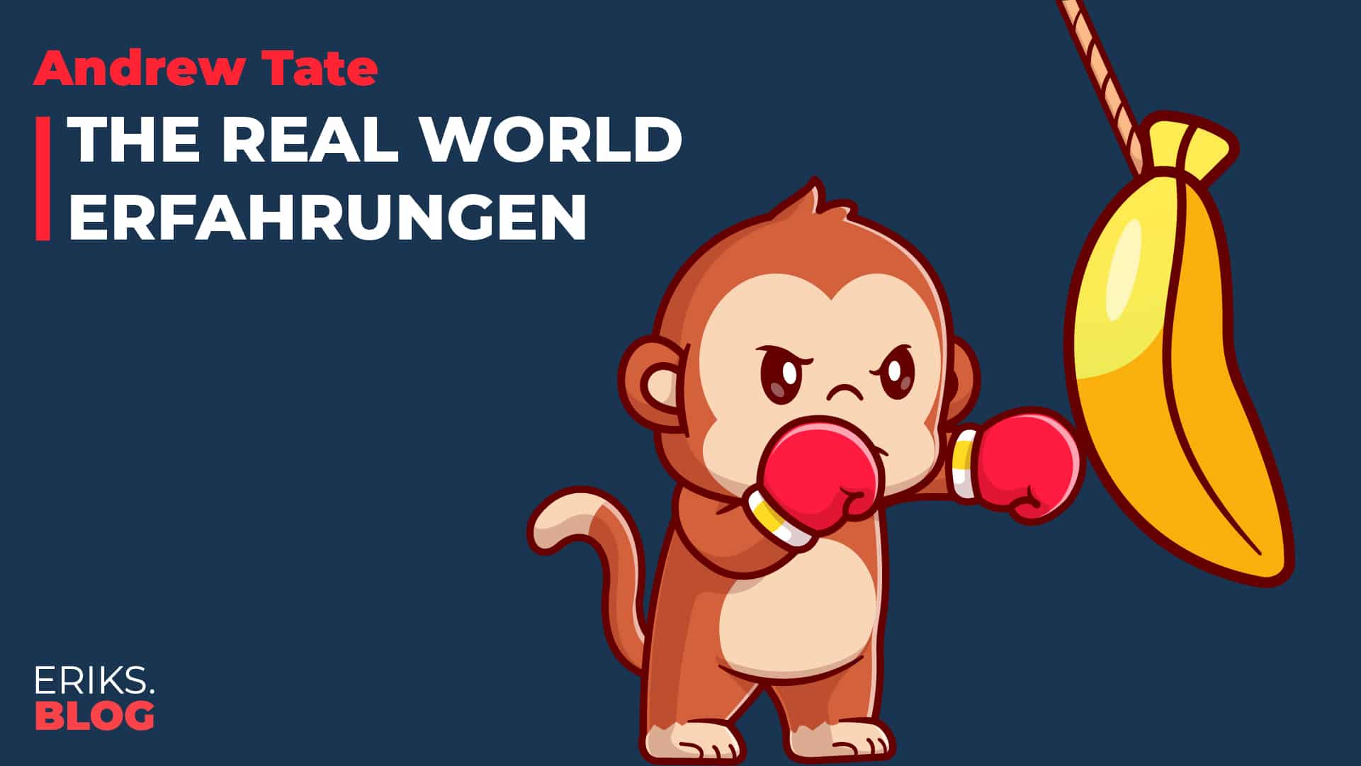 The Real World Erfahrungen – wie gut ist der Kurs von Andrew Tate wirklich?