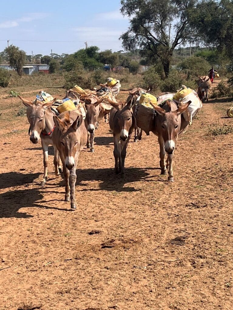 eriks.blog projektreise kenia ora kinderhilfe 5