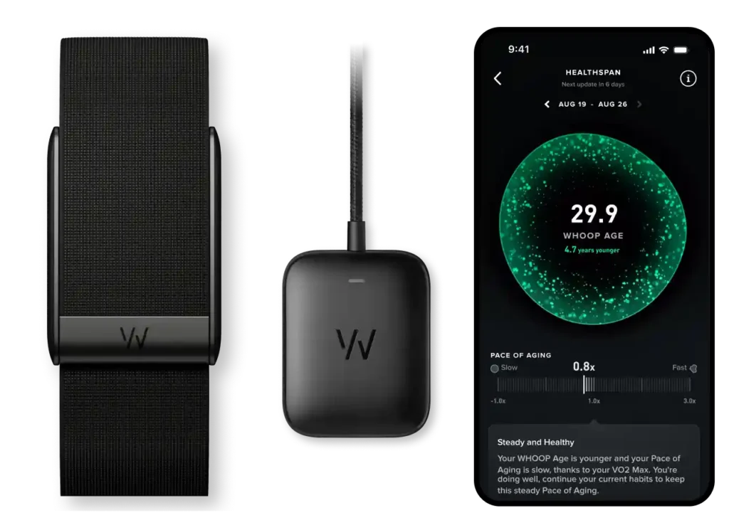 whoop alles in schwarz